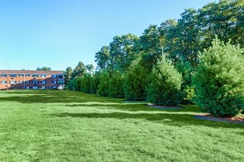 a green lawn with trees and a building in the background
